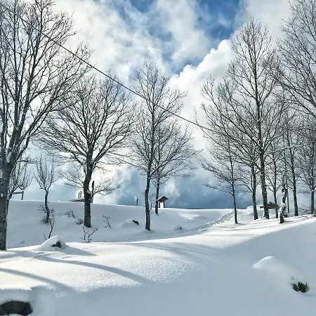 Bed & Breakfast Rifugio Radura Del Grano 3*