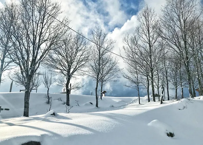 Bed & Breakfast Rifugio Radura Del Grano 3*